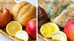 Lista de alimentos que no se deben dejar en un lugar cálido