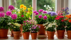 En invierno, los fertilizantes pueden estropear tus plantas: en qué fijarte para salvar tus flores favoritas