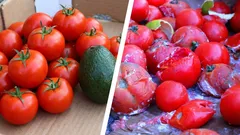 Por qué las verduras se estropean en la nevera el doble de rápido de lo que deberían