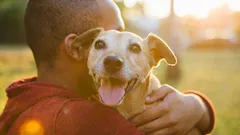 ¿Estás seguro de que tu perro es feliz? Comprueba estas 5 señales