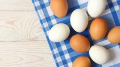 ¿Se pueden comer huevos a diario y qué le ocurre al organismo?